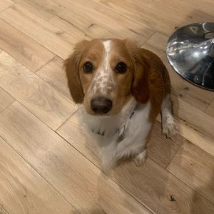 Meet your Posher, Alexandra